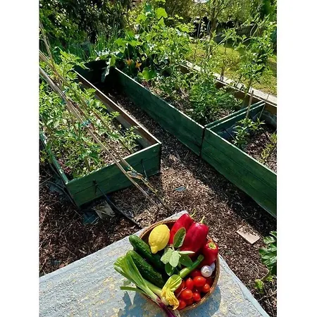 Truffle Garden